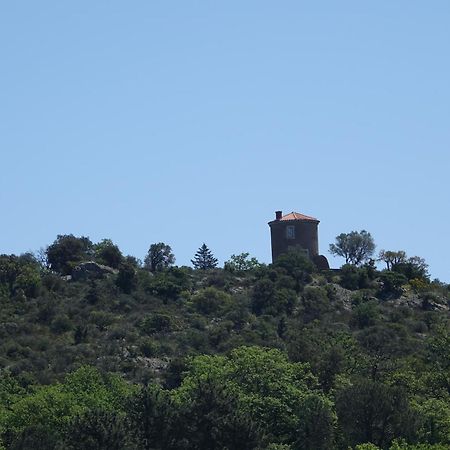 La Sarrazine - Suites - La Garde Freinet, Var La Garde-Freinet Exterior photo